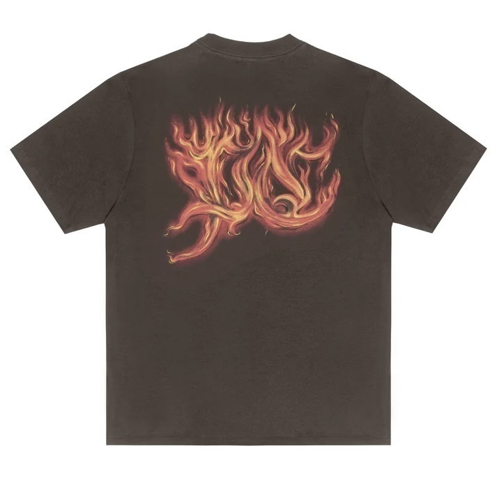 CAMISETA PLANO C - FLAMES BROWN