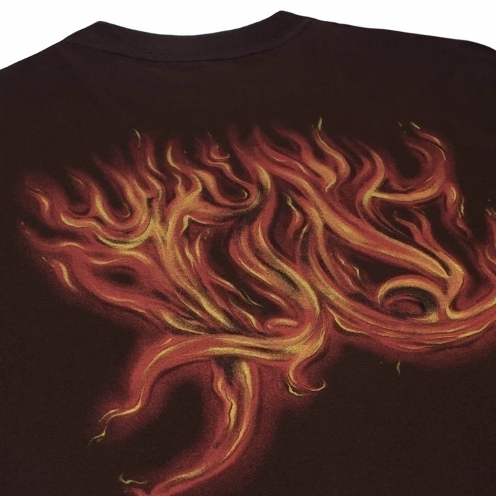 CAMISETA PLANO C - FLAMES BROWN