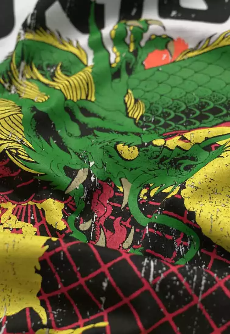 CAMISETA PRISON - DRAGON FLY